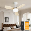 24.4" Low Profile Ceiling Fan with Light, Dimmable LED, 6-Speed & Quiet DC Motor, Remote Control, 3 Blades for Indoor/Outdoor, Wood