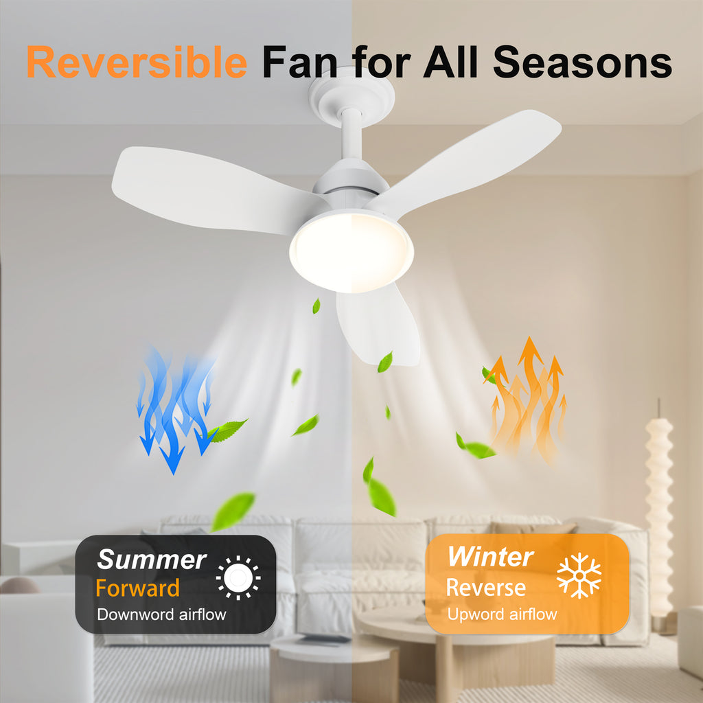 24.4" Low Profile Ceiling Fan with Light, Dimmable LED, 6-Speed & Quiet DC Motor, Remote Control, 3 Blades for Indoor/Outdoor, White