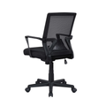 Ergonomic Office Chair, Lumbar Support, Adjustable Height Task Chair with Armrest, Black