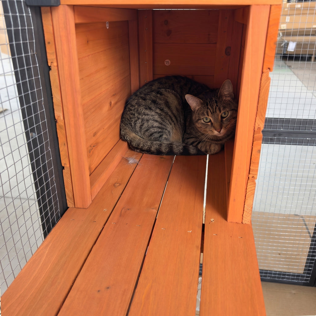 Wooden Catio Outdoor Cat Enclosure Large Cat House for Mulitiple Cats Walk, Indoor 5 Platforms & 2 Napping Houses, Outdoor Cat Catio with Waterproof Cover,Ramp