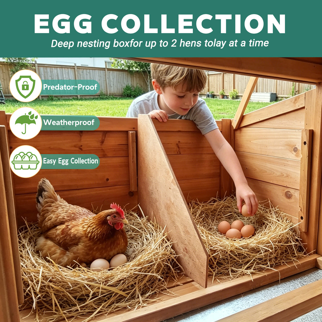 120" large Chicken Coop, Wooden Hen House with Run, Chicken Cage for 4-6 Chickens, Weatherproof Asphalt Roof, Nesting Box & Pull-Out Tray, Black